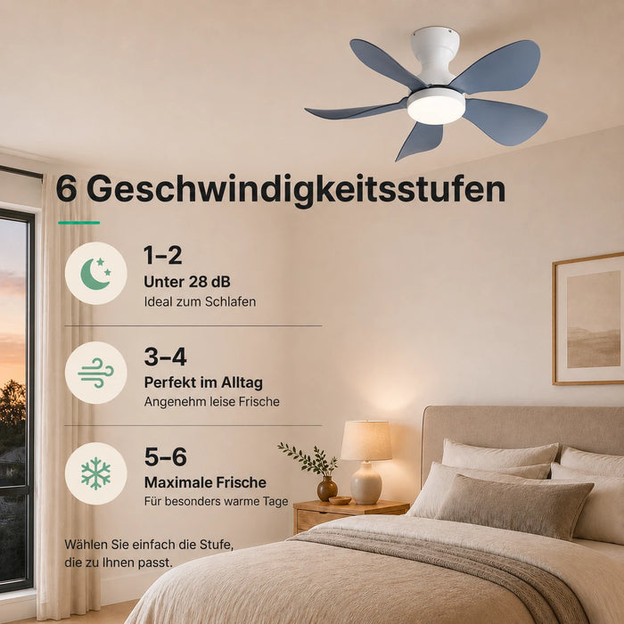 LED + Fernbedienung