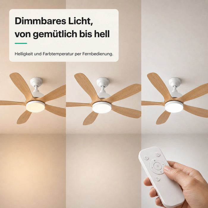 LED + télécommande