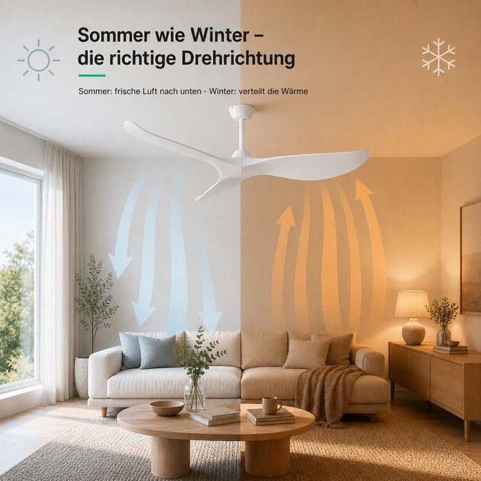 LED + télécommande