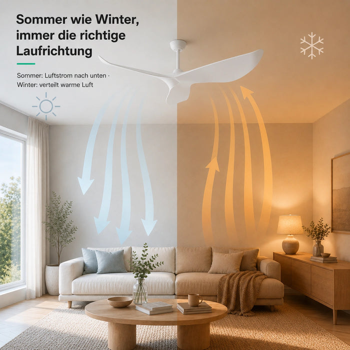 LED + télécommande