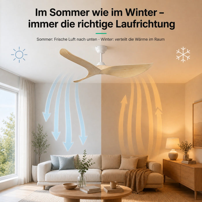 LED + télécommande