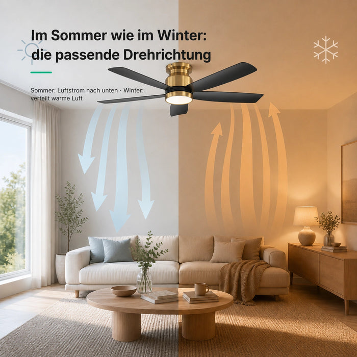 LED + télécommande