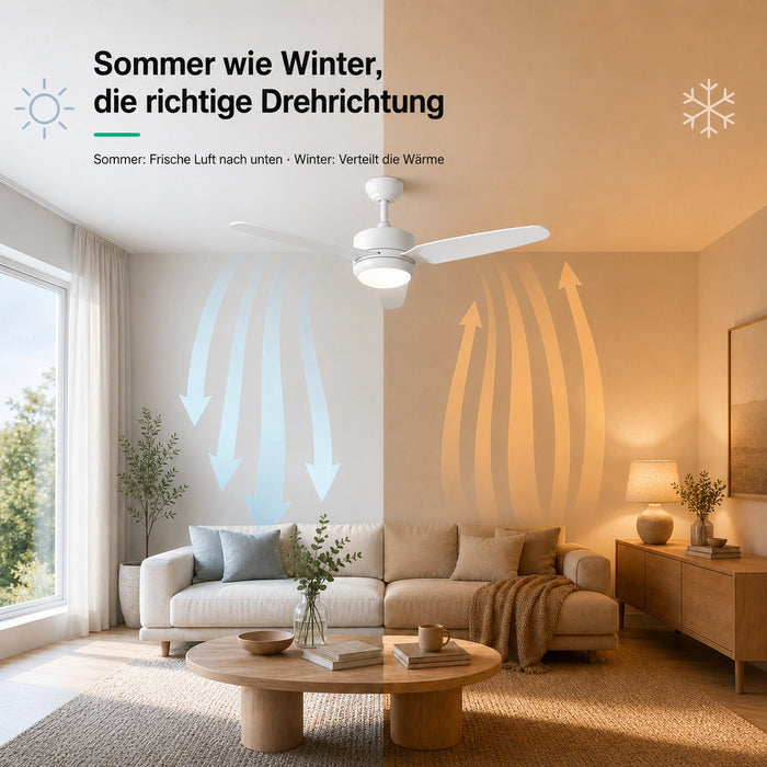 LED + télécommande