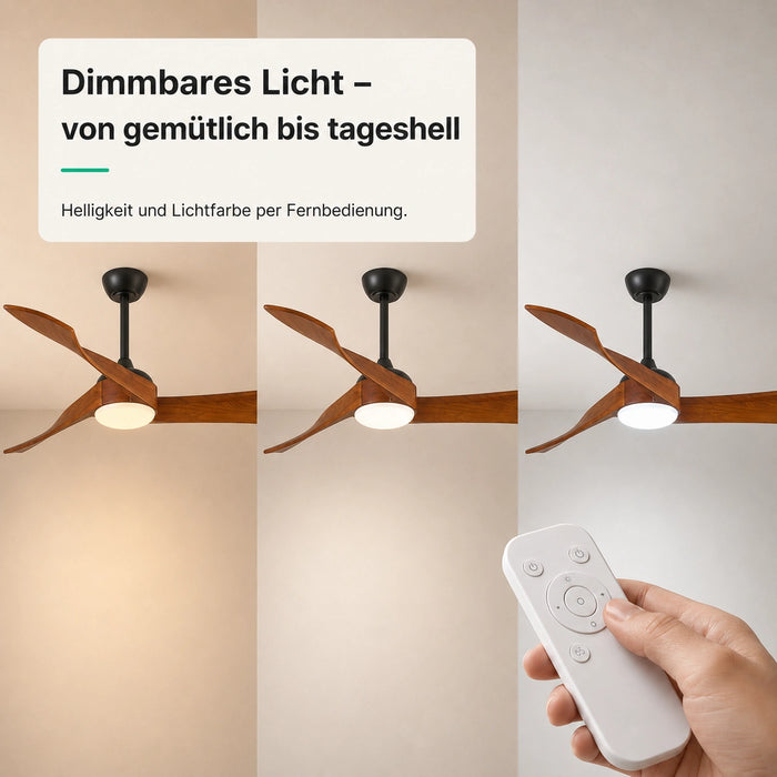 LED + télécommande