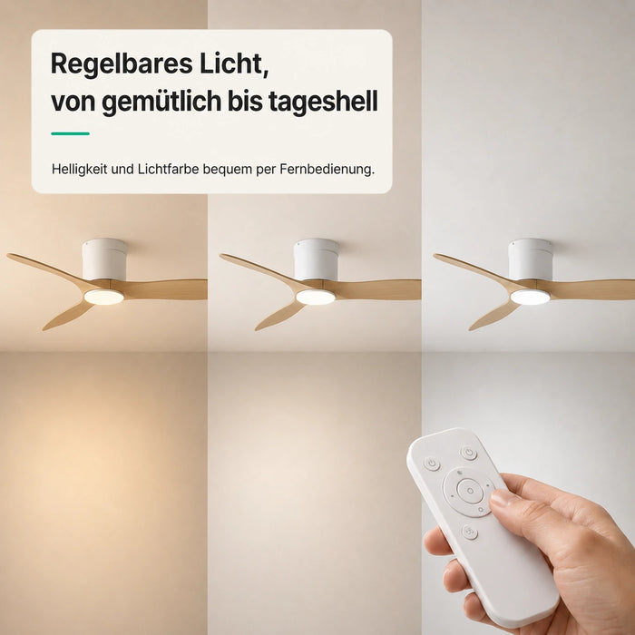 LED + Fernbedienung
