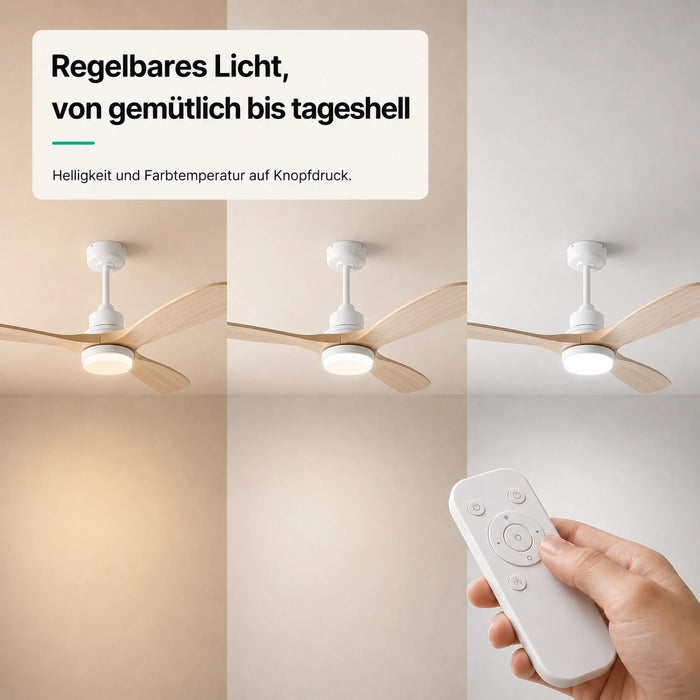 LED + télécommande