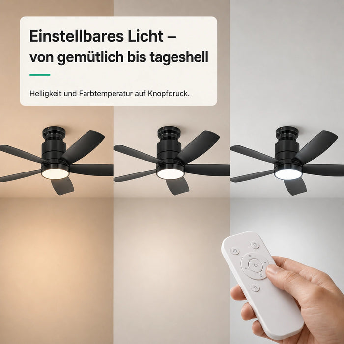 LED + télécommande