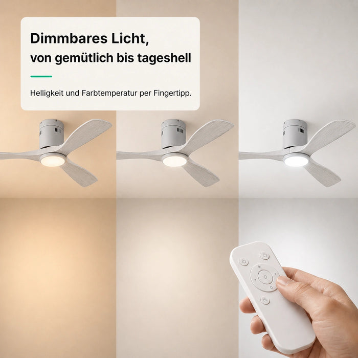 LED + télécommande