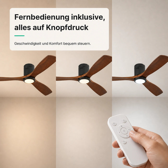 LED + télécommande