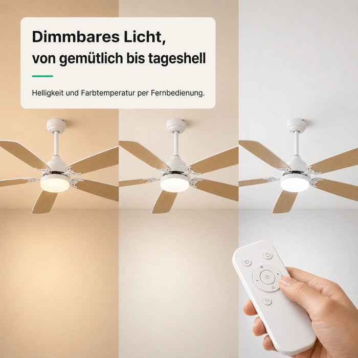 LED + télécommande