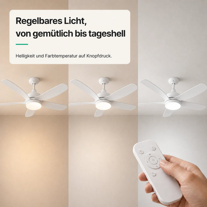 LED + télécommande