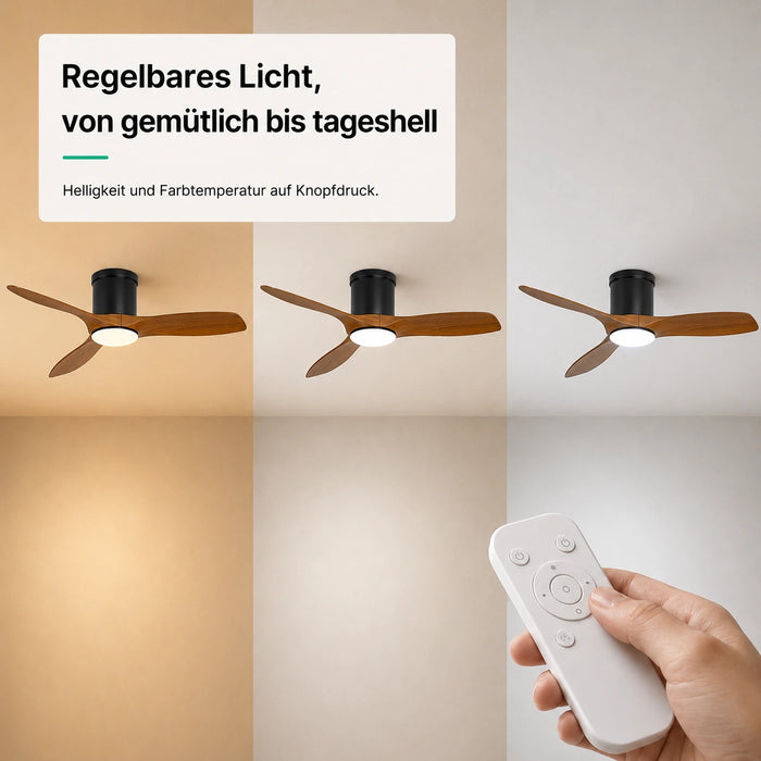 LED + Fernbedienung
