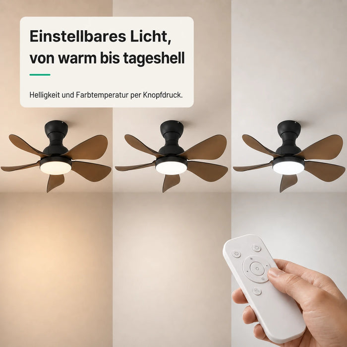 LED + Fernbedienung
