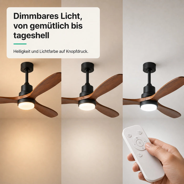 LED + télécommande