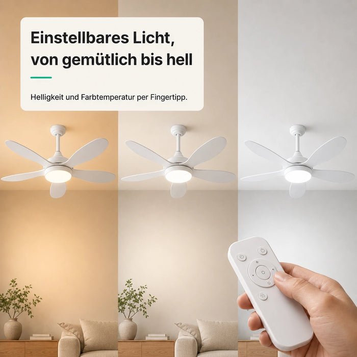 LED + télécommande