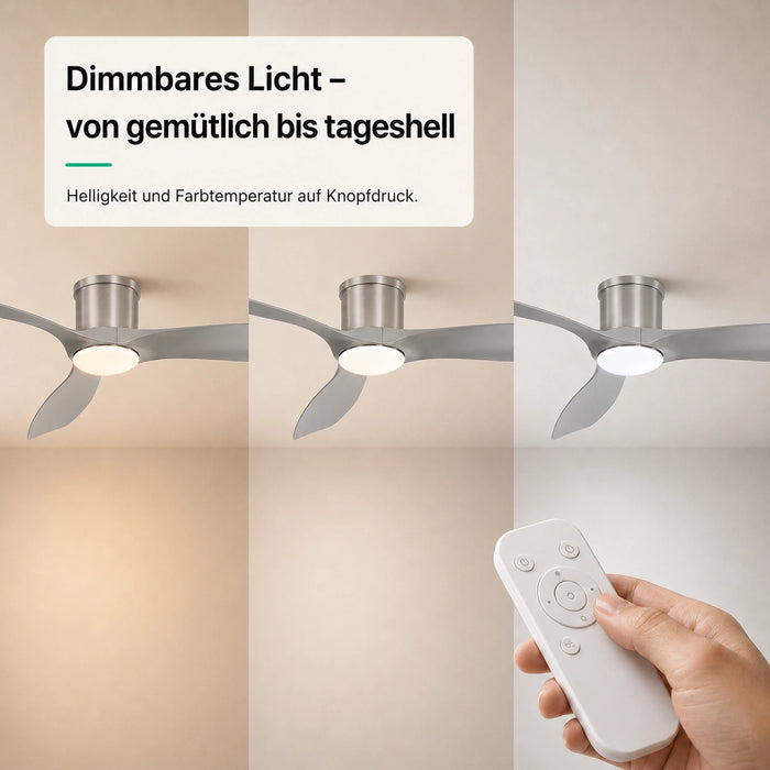 LED + télécommande