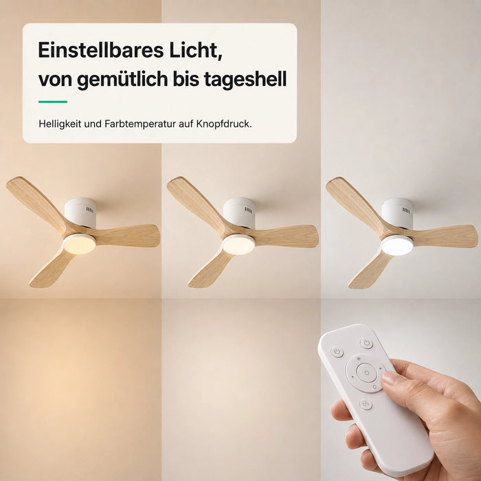 LED + télécommande