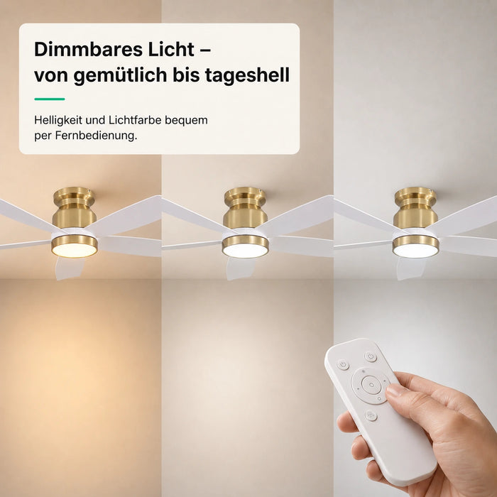 LED + Fernbedienung