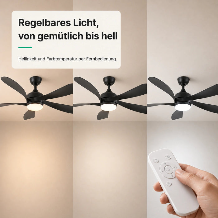 LED + télécommande