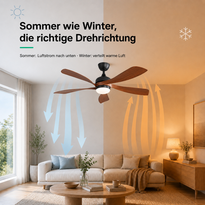 LED + Fernbedienung
